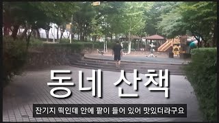 일곱살차이 부부 | 저녁 먹고 소화 시킬겸 동네 산책 나왔어요