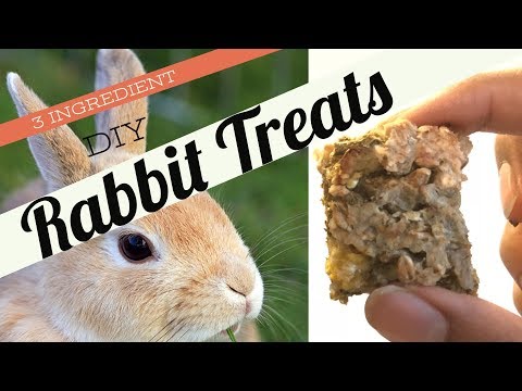DIY Rabbit Treats (3 ingredients) DIY Rabbit Treats (3 ingredients)