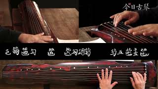 華人線上古琴課，專屬學習不掉隊Chinese Online Guqin Class, 2半山听雨 多角度整曲示范 0