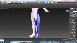 3DMax 2016 套骨架教學