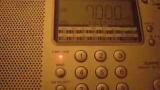 Pirate party 7000kHz: the \