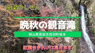 【高梁のしぜん】紅葉の季節もきれいです「晩秋の観音滝」