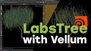 Houdini Adventure - Simulate the Labs Trees with Vellum