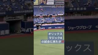 #京セラドーム大阪 #オリックスマジック4