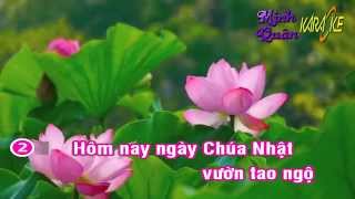 Karaoke - Vuon tao ngo - Tuan Vu & Son Tuyen