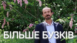 РІЗНОМАЇТТЯ РОДУ БУЗКІВ | МАЛОВІДОМІ ВИДИ