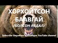 ХОРХОЙТСОН БААВГАЙН АЮУЛ Болсон явдал bolson yavdal