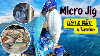 Micro Jig (ทั้งปลาและหมึกจบในชุดเดียว)| ปลาไม่กัด ตีหมึกยังได้สนุก! EP.39