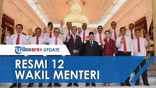 Jokowi Resmi Umumkan 12 Wakil Menteri Kabinet Indonesia Maju, Ini Profil Lengkapnya