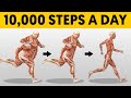 What 10,000 Steps a Day Does To Your Body