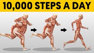 What 10,000 Steps a Day Does To Your Body