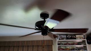 Current Ceiling Fans Installed In My House (NCFD Special)