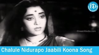 Undamma Bottu Pedata Songs - Chalule Nidurapo Jaabili Koona Song - K V Mahadevan Songs