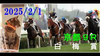 2025/2/1　京都９レース　白梅賞　枠順確定