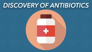 39. Penicillin & the Discovery of Antibiotics
