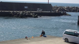 湯浅町 田村海岸(Wakayama)おすすめ海釣りガイド