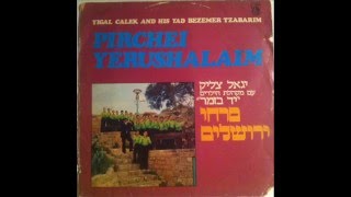 Pirchei Yerushalaim (Yad Bezemer) - The Bird's Nest פרחי ירושלים  (מקהלת הילדים 'יד בזמר) - קן צפור