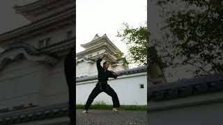 Double Nunchaku \u0026 Japanese Castle| Ryukyu Kobudo, Okinawa Kobudo #shorts #blackbelt