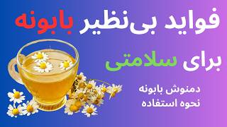 بابونه چه خاصیتی دارد | بهترین خواص بابونه برای سلامتی💯