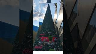 world's biggest Christmas tree #amazing #enjoy