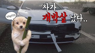 내 차 박살낸 거 누구야!!!