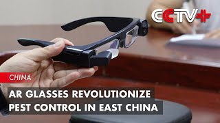 AR Glasses Revolutionize Pest Control in East China | BIZTODAY