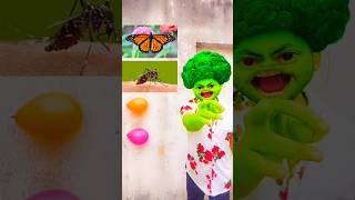 Titli#machhar chidiya#balloon#short#video #comedy