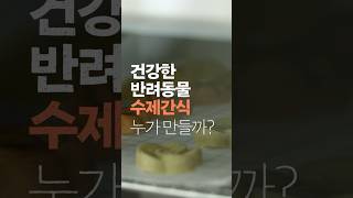 요즘 어른들의 세상 - 웰컴, 신자씨! 편