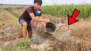 Bắt Cá Mùa Khô | Tát Vũng Bé Tí Mà Toàn Cá Khủng ( SƯỚNG )  Lạ Vlog