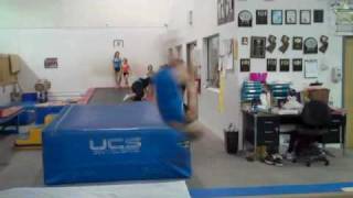 Beam - Training Standing Arabian Front