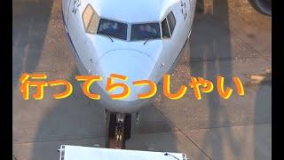 二人のパイロットに手を振って頂いて、B737-800（ANA427）を伊丹空港でお見送り！！　(ATC字幕付)