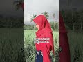 Janda Merona #shortsvideo #shortvideo #viralvideo #shortsviral #viral #real #gadis