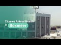 MSD Animal Health Boxmeer celebrates 75 years