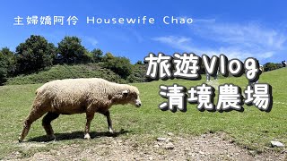 家族旅遊Vlog｜埔里酒廠、清境農場、武嶺、日月老茶廠｜車子壞了抖抖抖｜買物開箱｜主婦嬌阿伶 Housewife Chao