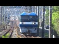 2017 04 28 jr貨物 長距離貨物 1071列車に桃トップナンバー機充当