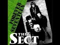 the sect