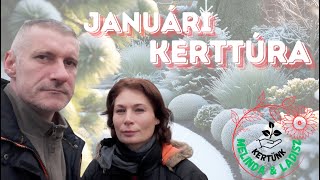 Kertünk - Januári kerttúra