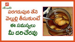 పరగడుపున తేనె వెల్లుల్లి మిశ్రమం తీసుకుంటే Benefits With Mixture Of Honey And Garlic| YOYO TV Health