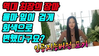 장마기간 율마 고민 질문 소개, 역대최장의 장마 율마관리는? 인공지능버전 실패(?)율마키우는법