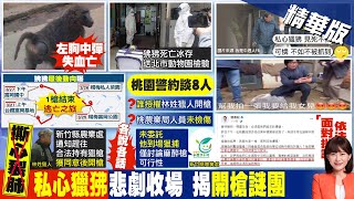 【洪淑芬報新聞】狒狒過完一生最愉快18天亡 誰授權獵人開槍?｜阿嬤們神助攻! 得知狒狒死訊喊\