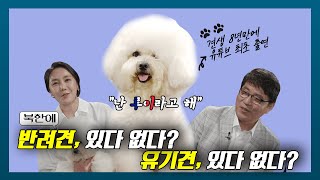 북한 반려견 문화에 대한 흥미로운 썰... 북한에 유기견이 없는 이유는? [남북의 썰 시즌2 / 12회] | 남북의 창