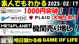 【明日のテンバガー株・高配当株】ドリコム！1000円突破！THE WHY HOW DO COMPANY！プレイド！大幅上昇！メタプラネット！リミックスポイント！機関売り増し！【20250217】