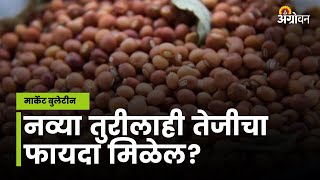 Tur Market: देशात आतापर्यंत किती तूर आयात झाली? |Agrowon| ॲग्रोवन