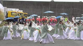 【4K】葵や一晴｜晴天の祈り(よさこい東海道沼津祭り2023/第二市場演舞場)