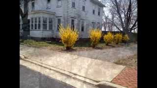 Springtime Mini Edit 2014