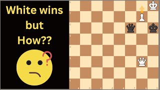 Rare Chess Puzzle