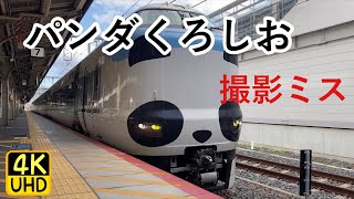 287系パンダくろしお回送　京都駅にて