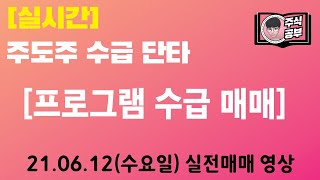 24.06.12 [실전매매 영상] 100만원으로 시작하는 '당일 주도주 수급 단타(눌림/횡보/돌파)' 매매