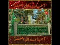 Shahdat Shahzada Ali Asghar(ع) 6 Muharram: Noha status | Aaja ve Laal Asghar (ع)|