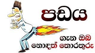 පඩයක් කතා කරයි☝️☝️